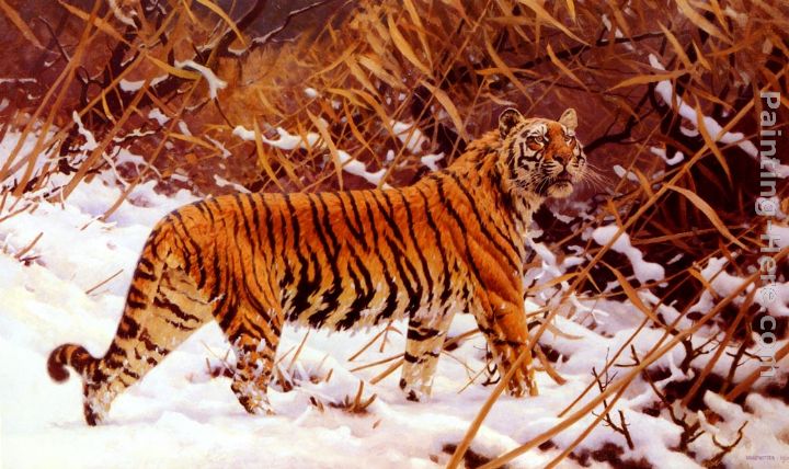 Siberischer Tiger In Einer Schneelandschaft painting - Hugo Ungewitter Siberischer Tiger In Einer Schneelandschaft art painting